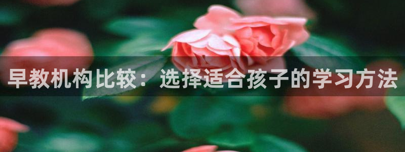 恒行登录就搜6ll5l:早教机构比较:选择适合孩子的学习方法