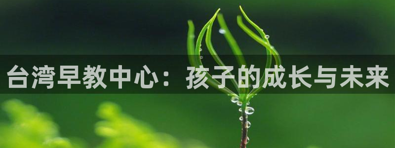 恒行代理总代主导 6ll5l:台湾早教中心:孩子的成长与未来