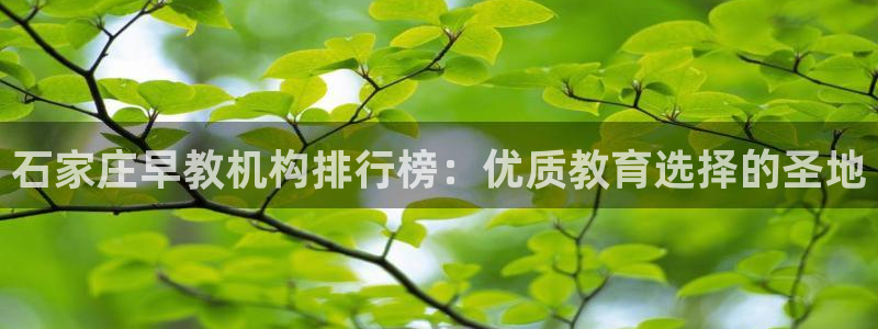恒行娱乐掏沂74ooo5弛:石家庄早教机构排行榜:优质教育选择的圣地
