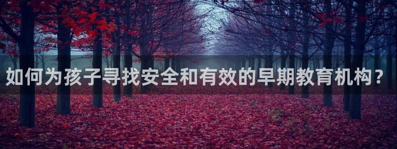 恒行2王74OOO5:如何为孩子寻找安全和有效的早期教育机构?