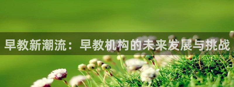 恒行注册全2O5O5O:早教新潮流:早教机构的未来发展与挑战